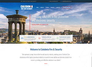 Security Marketing Company